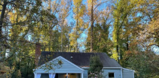 This Raleigh Mini-Mansion Just Hit The Market: A 958 SqFt Palace for For Only $619,000