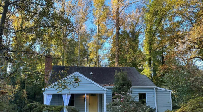 This Raleigh Mini-Mansion Just Hit The Market: A 958 SqFt Palace for For Only $619,000