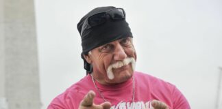 Hulk Hogan to the Rescue: WWE Legend’s Heroic Act in Tampa Car Crash