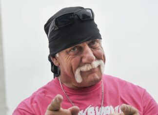 Hulk Hogan to the Rescue: WWE Legend’s Heroic Act in Tampa Car Crash