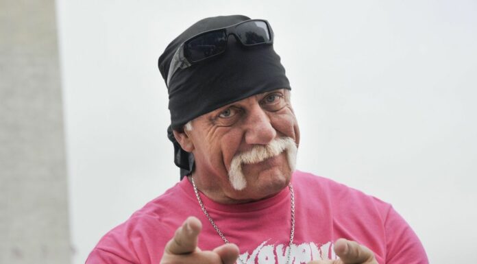 Hulk Hogan to the Rescue: WWE Legend’s Heroic Act in Tampa Car Crash