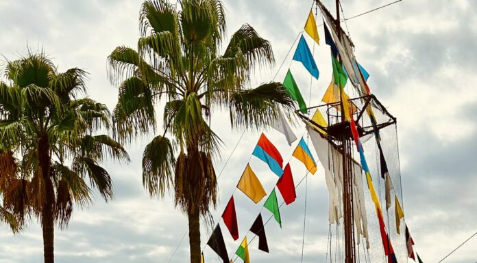 Unlock the Treasure Map: Your Essential Guide to Gasparilla 2024