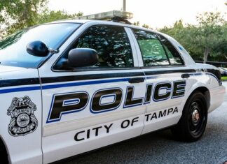 Tampa Shock: Innocence Shattered as 4-Year-Old Girl Injured in Road Rage Shooting; Suspect Apprehended