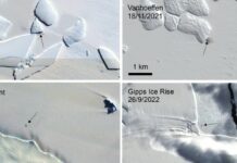 Satellite Images of Poop Stains Uncover New Colonies of Endangered Empire Penguins