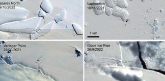 Satellite Images of Poop Stains Uncover New Colonies of Endangered Empire Penguins