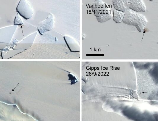 Satellite Images of Poop Stains Uncover New Colonies of Endangered Empire Penguins