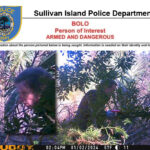 Sullivan Island Police Asking For Help In Finding Dangerous Tree Cutting Suspect