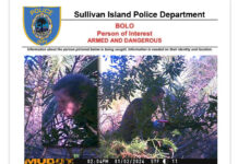 Sullivan Island Police Asking For Help In Finding Dangerous Tree Cutting Suspect