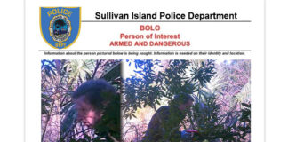 Sullivan Island Police Asking For Help In Finding Dangerous Tree Cutting Suspect