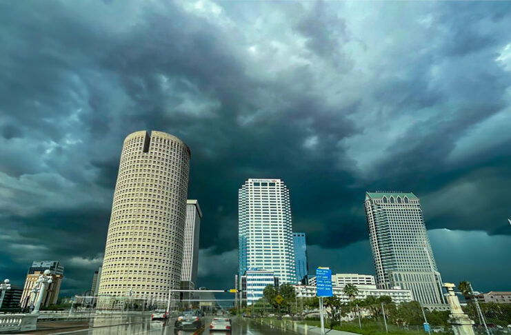 Chill, Thrill, and Foggy Spills: Tampa Bay’s Weather Rollercoaster!