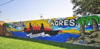 Rising Above: Solutions in Sight for Shore Acres’ Flooding Woes