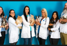 Affordable Vet Care Comes to Oldsmar: Harmony Vet Care Expansion