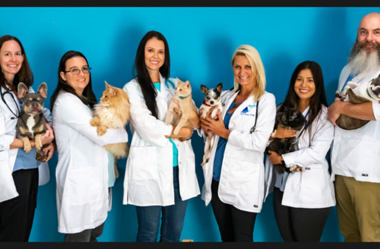Affordable Vet Care Comes to Oldsmar: Harmony Vet Care Expansion