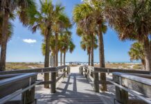 Stay Safe, Stay Informed: Pinellas County’s Urgent Call for Hurricane Preparedness