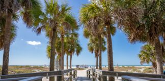 Stay Safe, Stay Informed: Pinellas County’s Urgent Call for Hurricane Preparedness