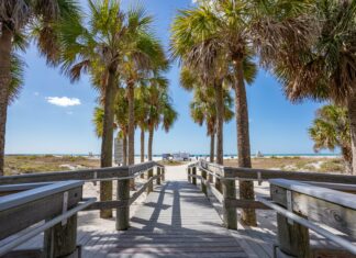 Stay Safe, Stay Informed: Pinellas County’s Urgent Call for Hurricane Preparedness