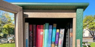 New Little Free Library Opens in New Port Richey: A Literary Haven