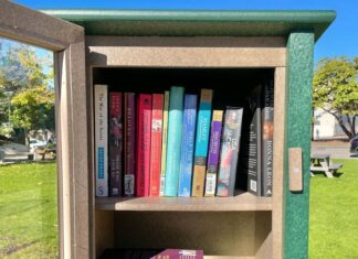 New Little Free Library Opens in New Port Richey: A Literary Haven