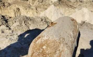 Hernando County’s WWII Surprise: Bomb Found Near Airport Sparks Investigation