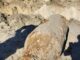 Hernando County’s WWII Surprise: Bomb Found Near Airport Sparks Investigation