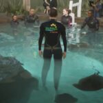 Experience the Thrill: ZooTampa Offers Stingray Encounter Starting March 15