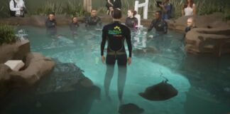 Experience the Thrill: ZooTampa Offers Stingray Encounter Starting March 15