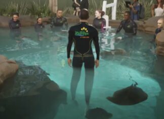 Experience the Thrill: ZooTampa Offers Stingray Encounter Starting March 15
