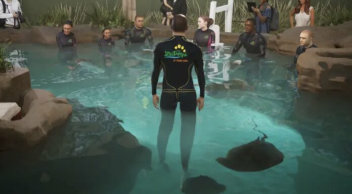 Experience the Thrill: ZooTampa Offers Stingray Encounter Starting March 15