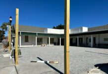 New Beer Garden and Gourmet Hot Dog Eatery Coming To Charleston Area