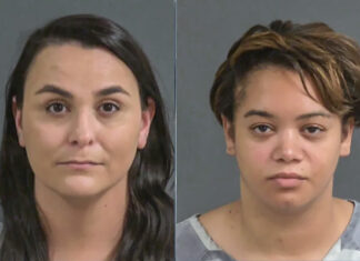 Illegal Drug Distribution Uncovered at Mount Pleasant Animal Clinic