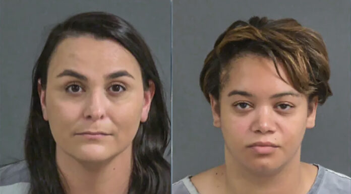 Illegal Drug Distribution Uncovered at Mount Pleasant Animal Clinic