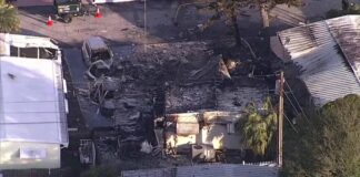 New Details Emerge in Clearwater Plane Crash Investigation: Pilot’s Visibility Issues Revealed