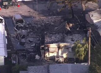 New Details Emerge in Clearwater Plane Crash Investigation: Pilot’s Visibility Issues Revealed