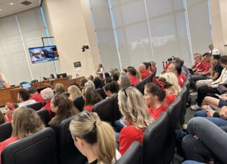 Tampa Bay Residents Unite Against 195-Foot Cell Tower Proposal