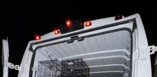 Charleston Animal Shelter Pleads For Foster Families As Animal Numbers Skyrocket