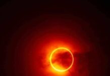 Where to Watch the Solar Eclipse in Tampa Bay!