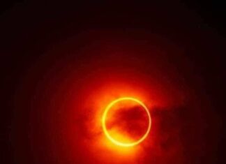 Where to Watch the Solar Eclipse in Tampa Bay!