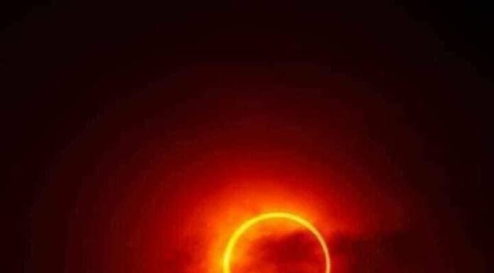 Where to Watch the Solar Eclipse in Tampa Bay!