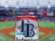 Budweiser Unveils Tampa Bay Rays-Themed Beer Cans!