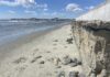 Major Legal Dispute Surrounding Isle of Palms’ Sea Wall Intensifying