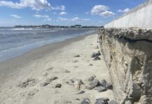 Major Legal Dispute Surrounding Isle of Palms’ Sea Wall Intensifying