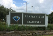 4,000 Gallons of Water Quench Brush Fire Near Alafia River State Park