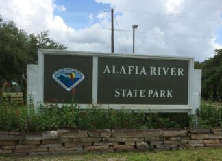 4,000 Gallons of Water Quench Brush Fire Near Alafia River State Park
