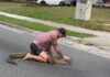 Florida Man vs. Gator Showdown: Watch Barefoot Hero Wrestle 8-Foot Alligator