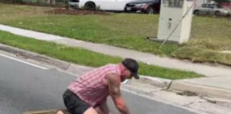 Florida Man vs. Gator Showdown: Watch Barefoot Hero Wrestle 8-Foot Alligator