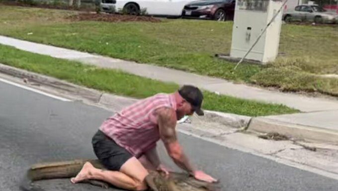 Florida Man vs. Gator Showdown: Watch Barefoot Hero Wrestle 8-Foot Alligator