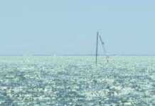 St. Pete Residents Intrigued by Mysterious Sinking Ship