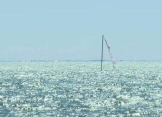 St. Pete Residents Intrigued by Mysterious Sinking Ship