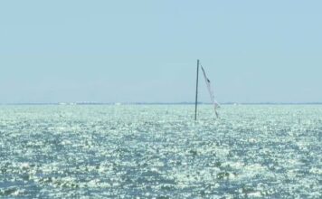 St. Pete Residents Intrigued by Mysterious Sinking Ship