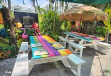 Sweet Sage Café, Your Dog Friendly Spot for Beach Day Food Coma